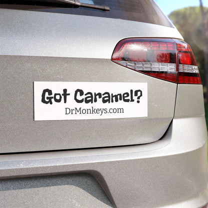 Car Magnets